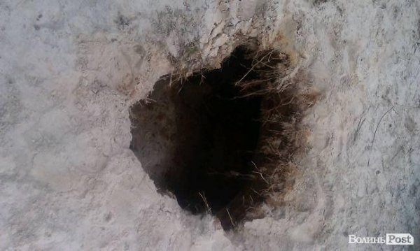 На Волині чергова навала бурштинокопачів. Тепер у Любешівському районі. ФОТО