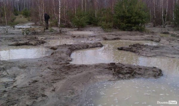 На Волині чергова навала бурштинокопачів. Тепер у Любешівському районі. ФОТО