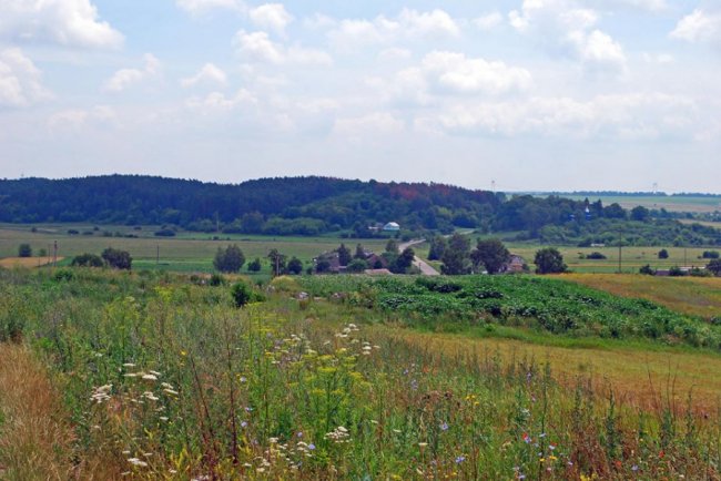 Казкові краєвиди Цуманської пущі. ФОТО