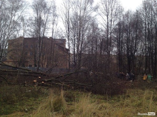 У Луцьку люди бунтують проти вирубки парку забудовником. ФОТО