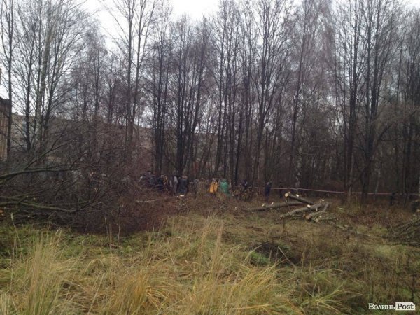 У Луцьку люди бунтують проти вирубки парку забудовником. ФОТО