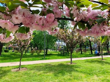 Погода в Луцьку та Волинській області на завтра, 20 квітня