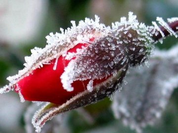 Весна – заморозки, зима – бабине літо: прогноз погоди на 2020 рік від народного синоптика з Волині