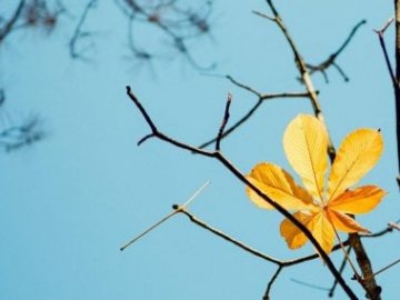 Погода в Луцьку та Волинській області на завтра, 8 листопада