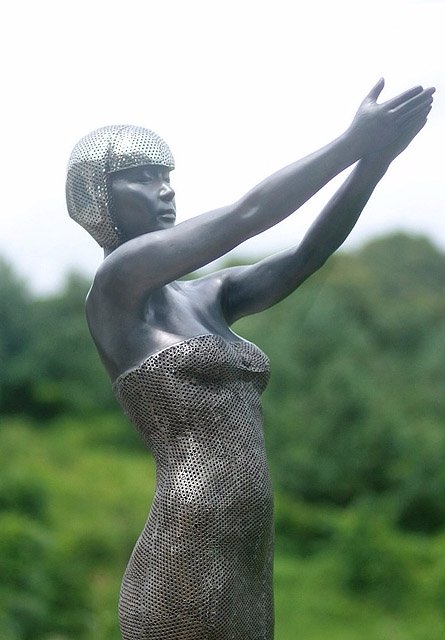 Корейський дизайнер створює вишукані скульптури із заліза. ФОТО