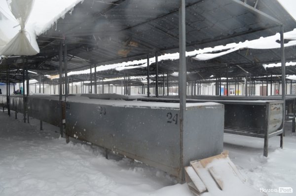 Луцькі ринки спорожніли. ФОТО