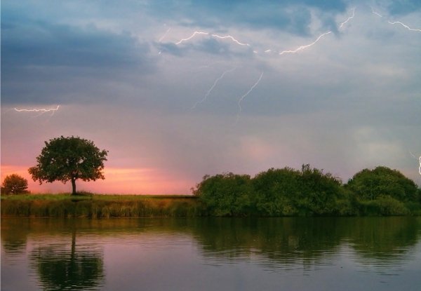 Лісова пісня озерного Полісся. ФОТО