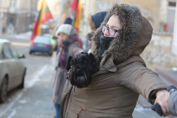 Литва підтримала Євромайдан «живим ланцюгом». ФОТО. ВІДЕО