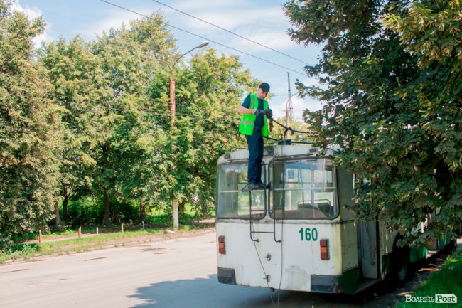 Там, де розвертаються тролейбуси: як живе 40-ий мікрорайон Луцька