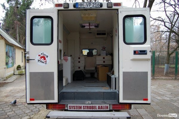 Іноземці забрали ведмежа із луцького зоопарку. ФОТО. ВІДЕО