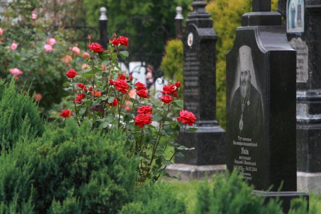 Неповторна атмосфера: біля луцького собору зацвіла тисяча троянд. ФОТО