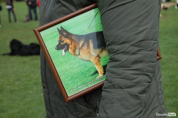 У Луцьку влаштували собаче свято. ФОТО