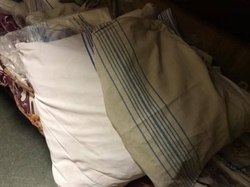 «Сіра тряпка – це наволочка, яку мені видали», –  лучанка про сервіс потяга «Київ-Ковель». ФОТО