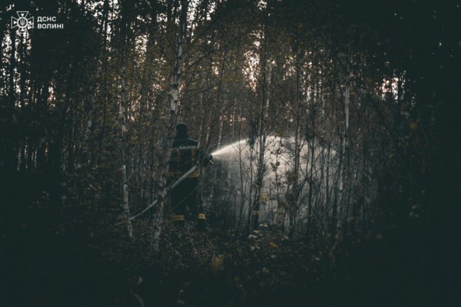 На Волині горів ліс. ВІДЕО