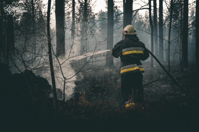 На Волині горів ліс. ВІДЕО