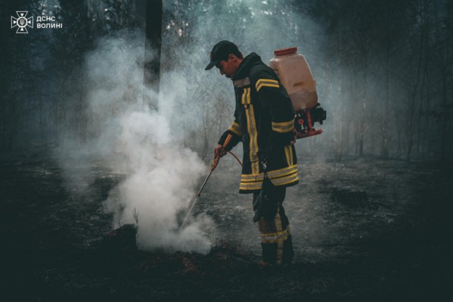 На Волині горів ліс. ВІДЕО