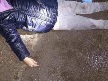 На Волині встановлюють особу жінки, яка загинула в ДТП у Володимирі
