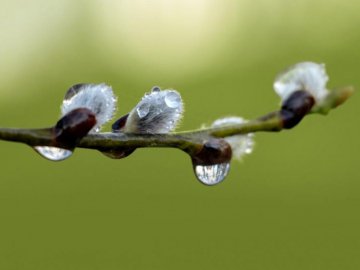 Погода в Луцьку та Волинській області на суботу, 17 квітня