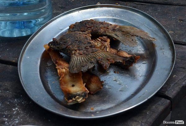 Риба зі ставу вже готова до споживання.