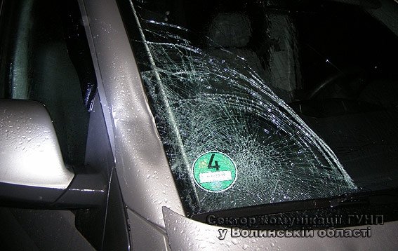 У Ковелі п’яний водій «Volkswagen» збив на смерть жінку. ФОТО