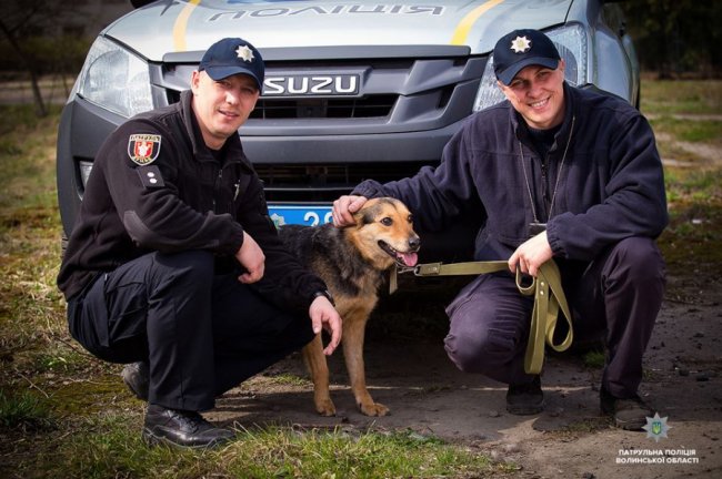 Добро робити легко: як волинські патрульні фотографувалися з безпритульними песиками