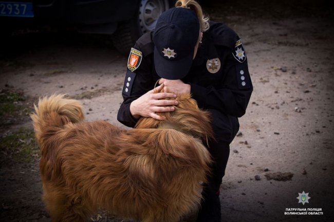 Добро робити легко: як волинські патрульні фотографувалися з безпритульними песиками