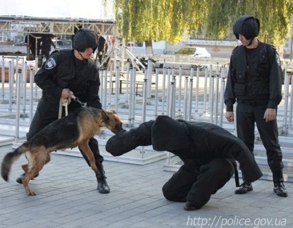 «Беркут» влаштував показову бійку у центрі Луцька. ФОТО