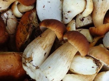 Скільки варити гриби, щоб стали безпечними