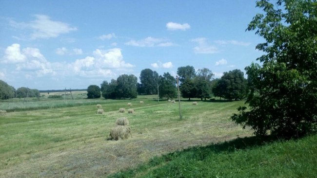 Для Луцького зоопарку шестеро волинян завезли п'ять тонн сіна