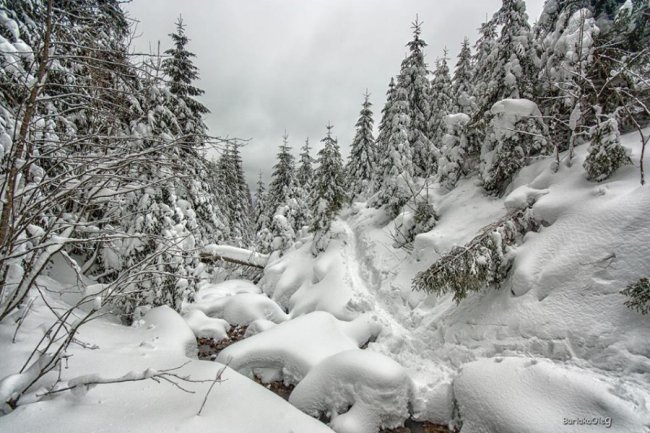 Зимова магія Карпат на світлинах луцького фотографа