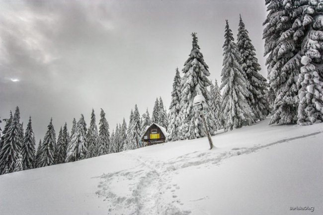 Зимова магія Карпат на світлинах луцького фотографа