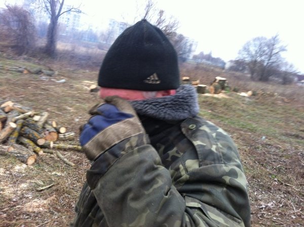 Невідомі чоловіки ріжуть у Ковелі дерева і нападають на журналістів. ФОТО