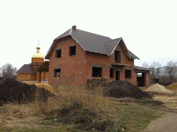 Невідомі чоловіки ріжуть у Ковелі дерева і нападають на журналістів. ФОТО