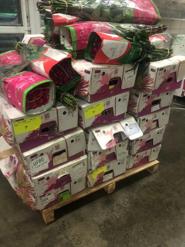 На волинській митниці затримали вантажівку з 6 тоннами квітів та декоративних рослин. ФОТО