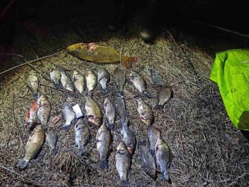 Під Луцьком спіймали чоловіка, який займався підводним полюванням і наловив забагато риби 