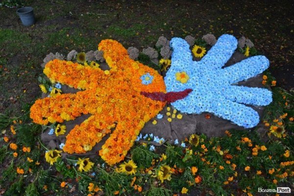 У Луцьку  - квіткова виставка до Дня Незалежності. ФОТО