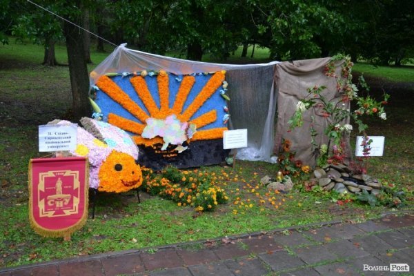 У Луцьку  - квіткова виставка до Дня Незалежності. ФОТО