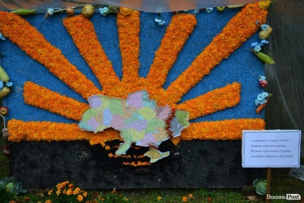 У Луцьку  - квіткова виставка до Дня Незалежності. ФОТО