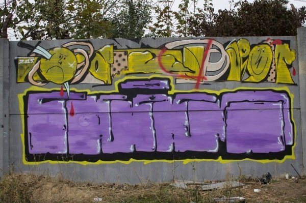 Що намалювали на стінах у Луцьку під час графіті-фестивалю «Алярм». ФОТО