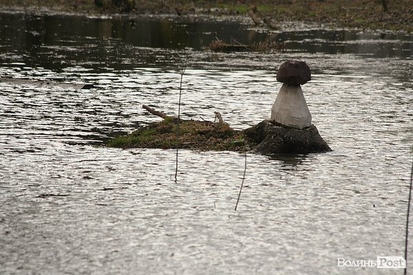 Повінь у Луцьку. ФОТО. ВІДЕО