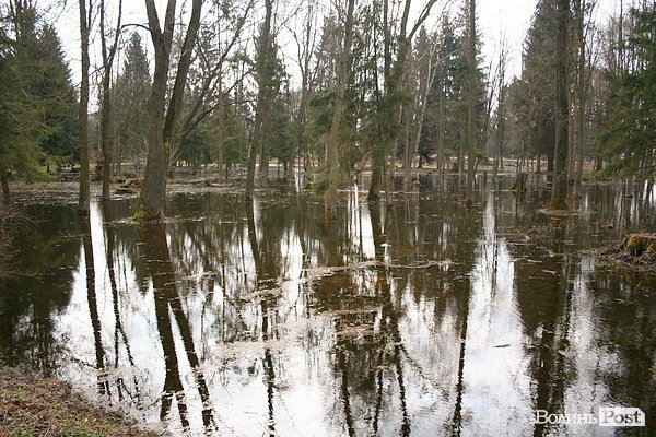 Повінь у Луцьку. ФОТО. ВІДЕО
