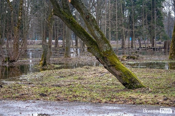 Повінь у Луцьку. ФОТО. ВІДЕО