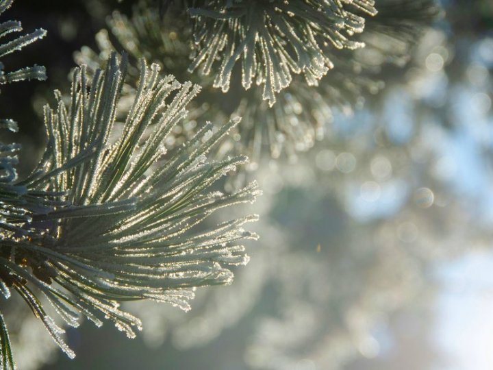 До середини тижня - морози: якої погоди слід очікувати волинянам на Різдво