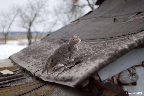 Весна у Луцьку. ФОТО
