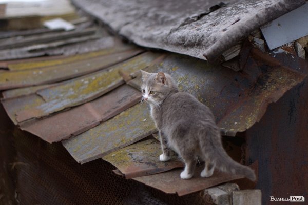 Весна у Луцьку. ФОТО