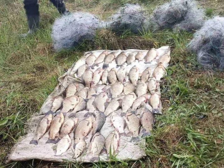 На Волині пенсіонер «наловив» риби на 245 тисяч