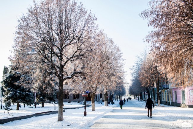 Луцьк – у кришталевій паморозі: казкові світлини різдвяного ранку. ФОТО