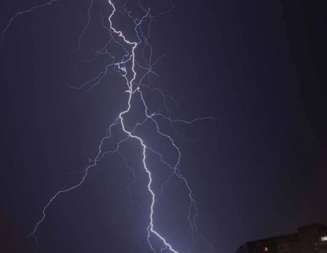 заступниця директора департаменту сім'ї, молоді та спорту луцької міськради Катерина Шкльода