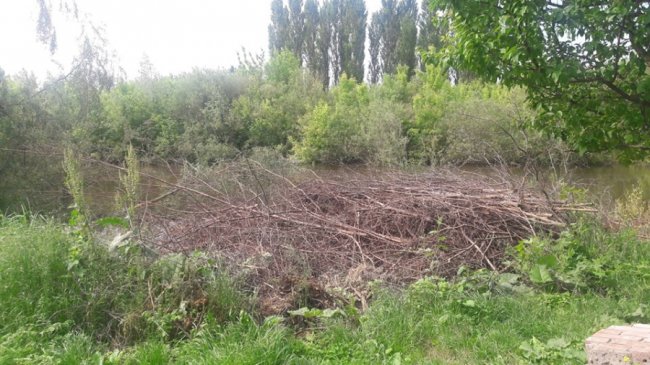 Туристам на сміх: історична частина Луцька заросла травою. ФОТО