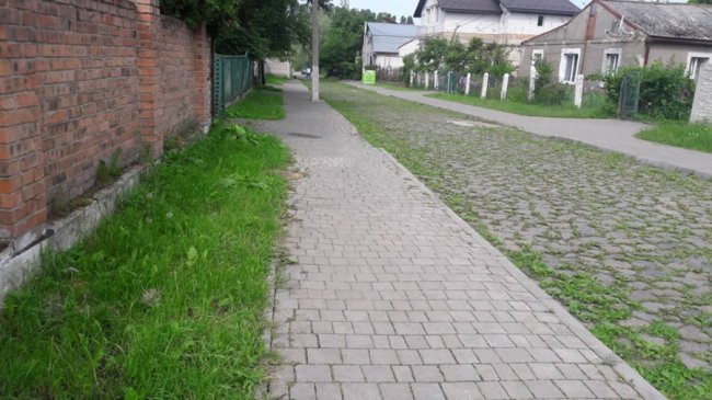 Туристам на сміх: історична частина Луцька заросла травою. ФОТО